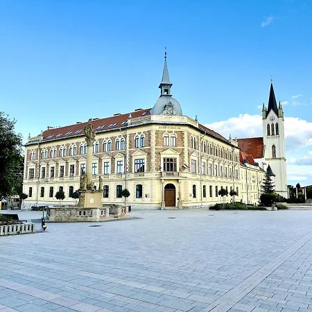Vintage Boutique Loft Appartement