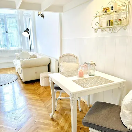 Vintage Boutique Loft Appartement